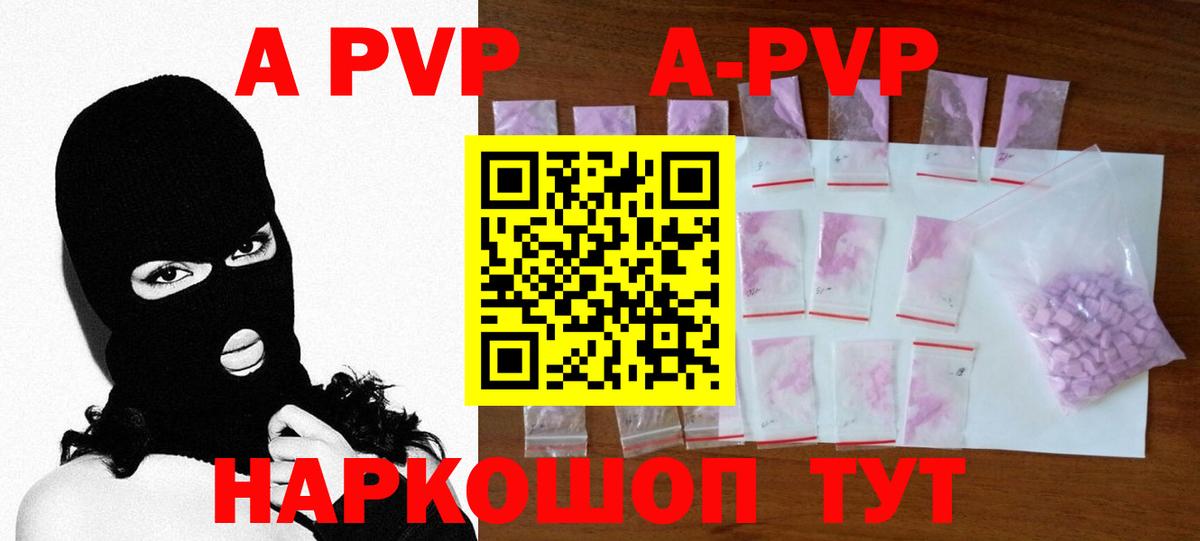 A-PVP СК КРИС Элиста